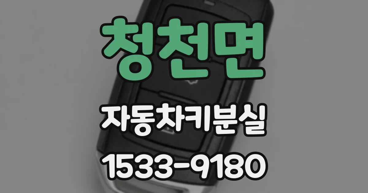 청천면 자동차키분실