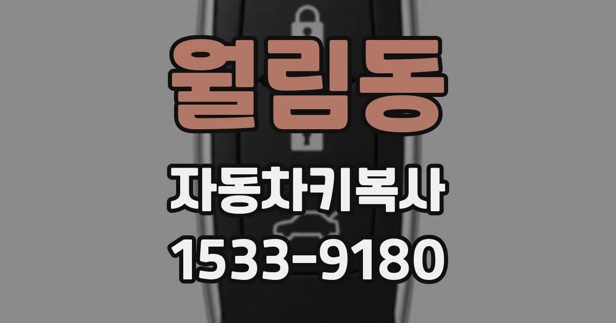 월림동 자동차키복사