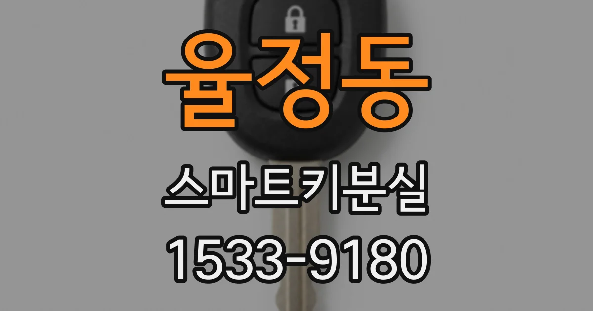 율정동 스마트키분실