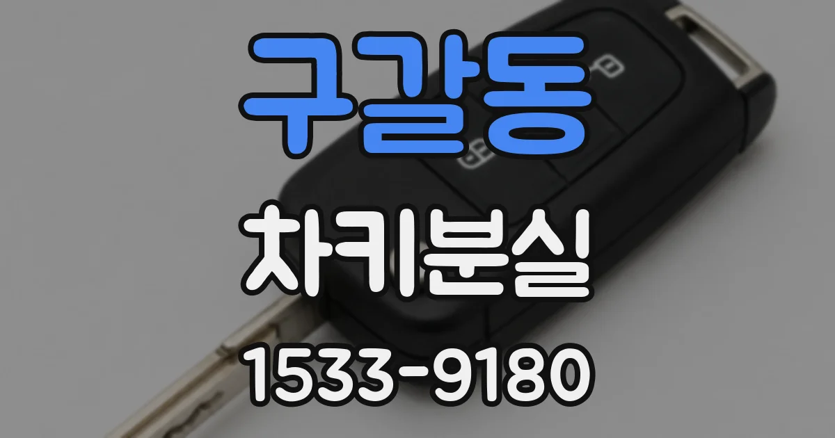 구갈동 차키분실
