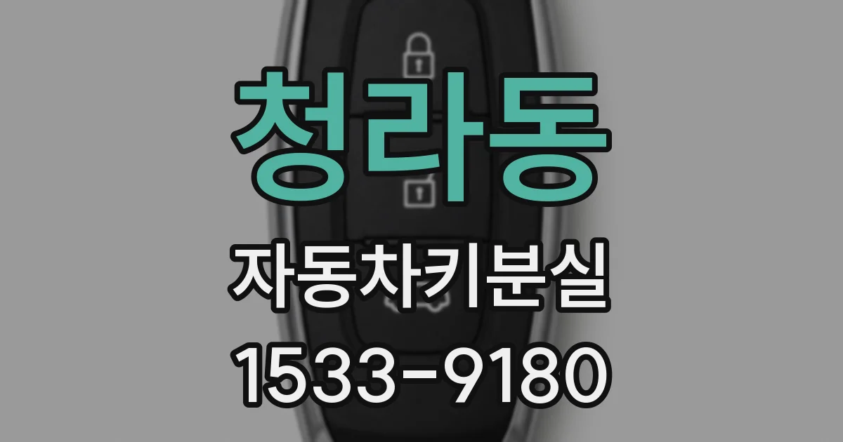 청라동 자동차키분실