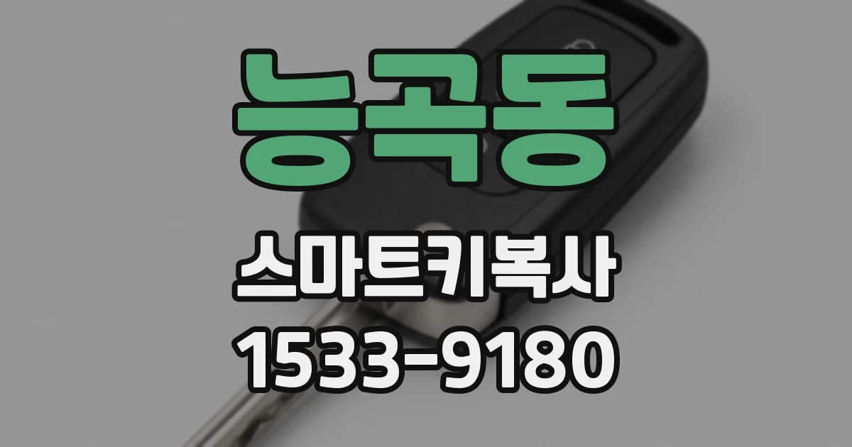 능곡동 스마트키복사