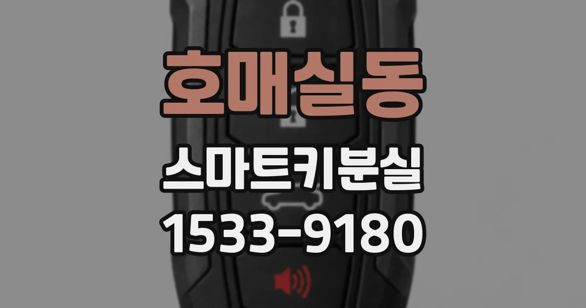 호매실동 스마트키분실