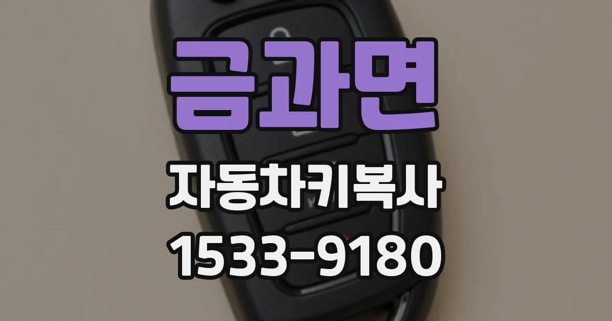 금과면 자동차키복사