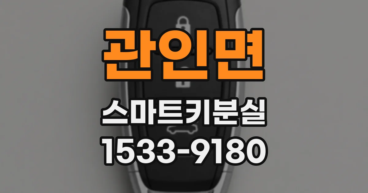 관인면 스마트키분실