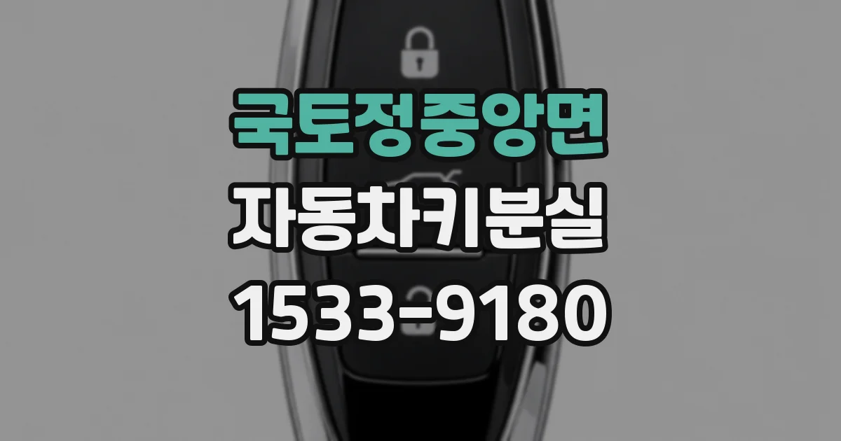 국토정중앙면 자동차키분실
