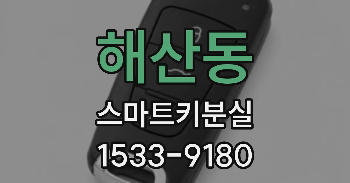 해산동 스마트키분실
