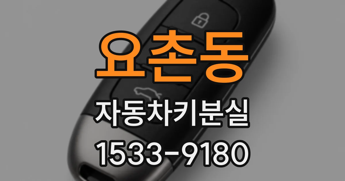 요촌동 자동차키분실