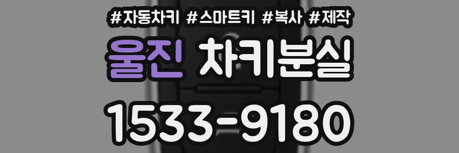 울진 차키분실