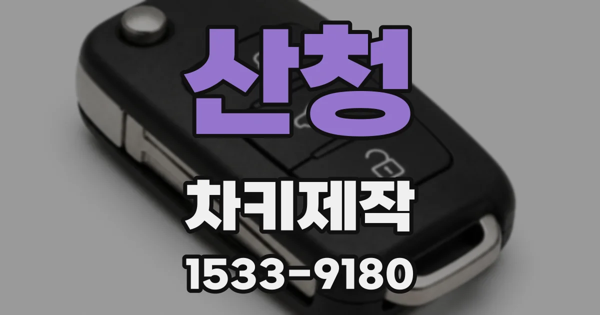 산청 차키제작