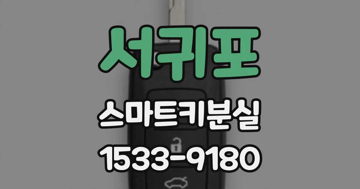 서귀포 스마트키분실