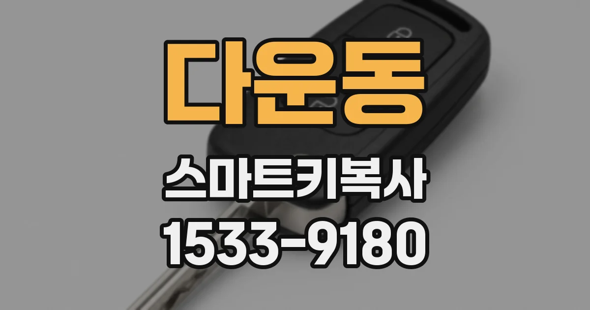 다운동 스마트키복사