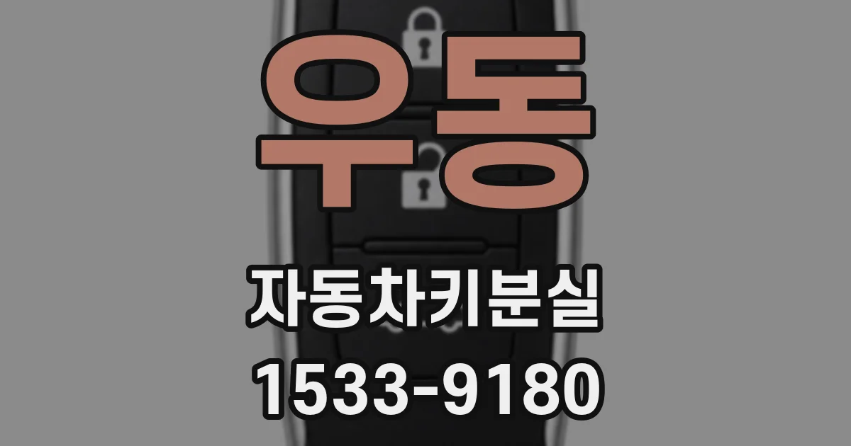 우동 자동차키분실