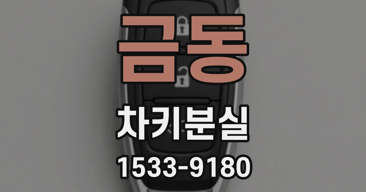 금동 차키분실