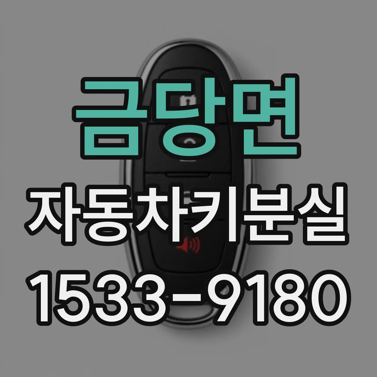 금당면 자동차키분실