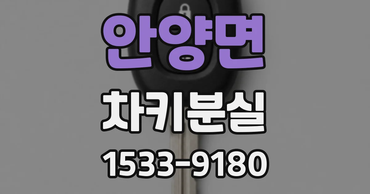 안양면 차키분실