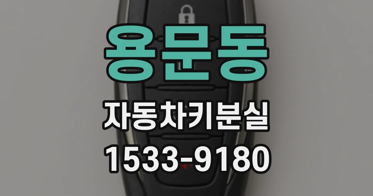용문동 자동차키분실