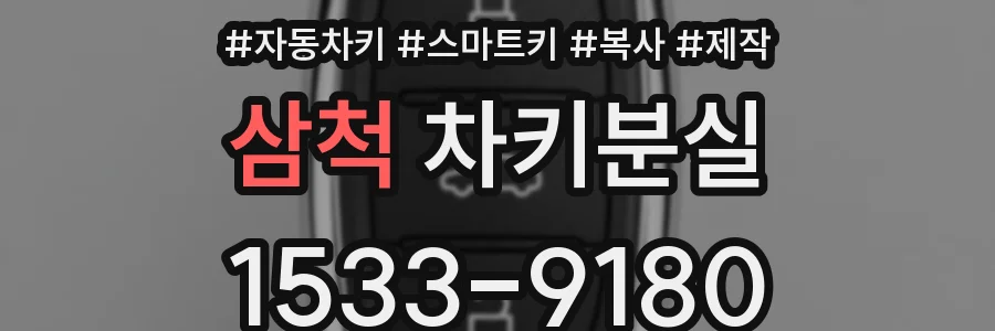 삼척 차키분실