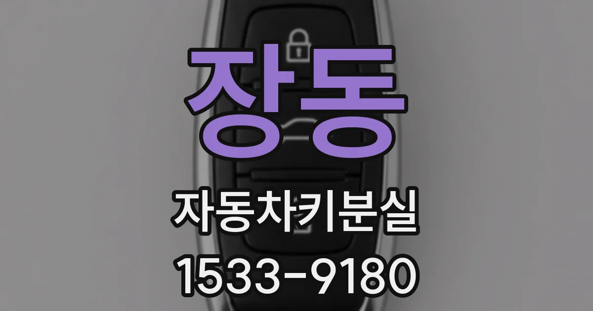 장동 자동차키분실