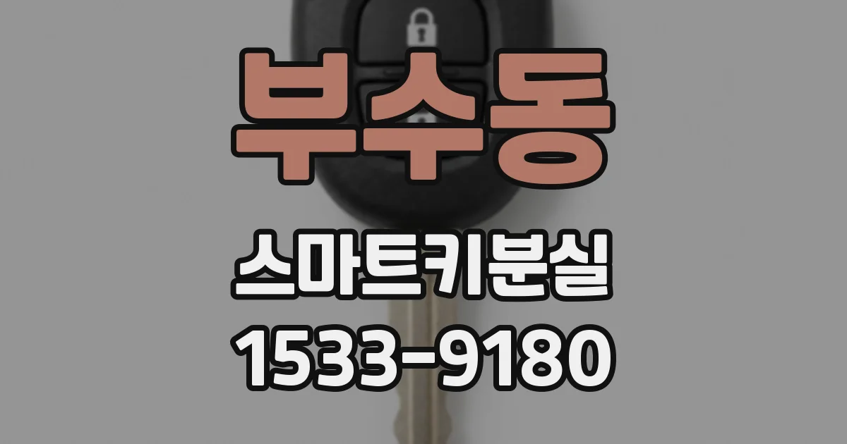 부수동 스마트키분실