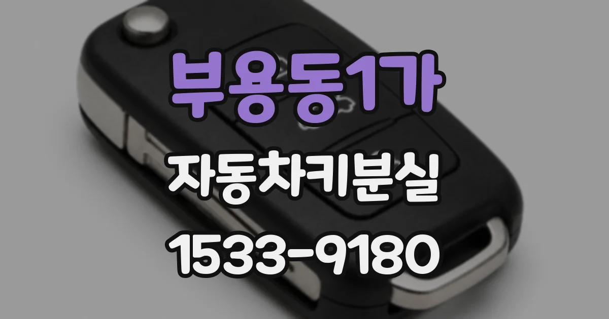 부용동1가 자동차키분실