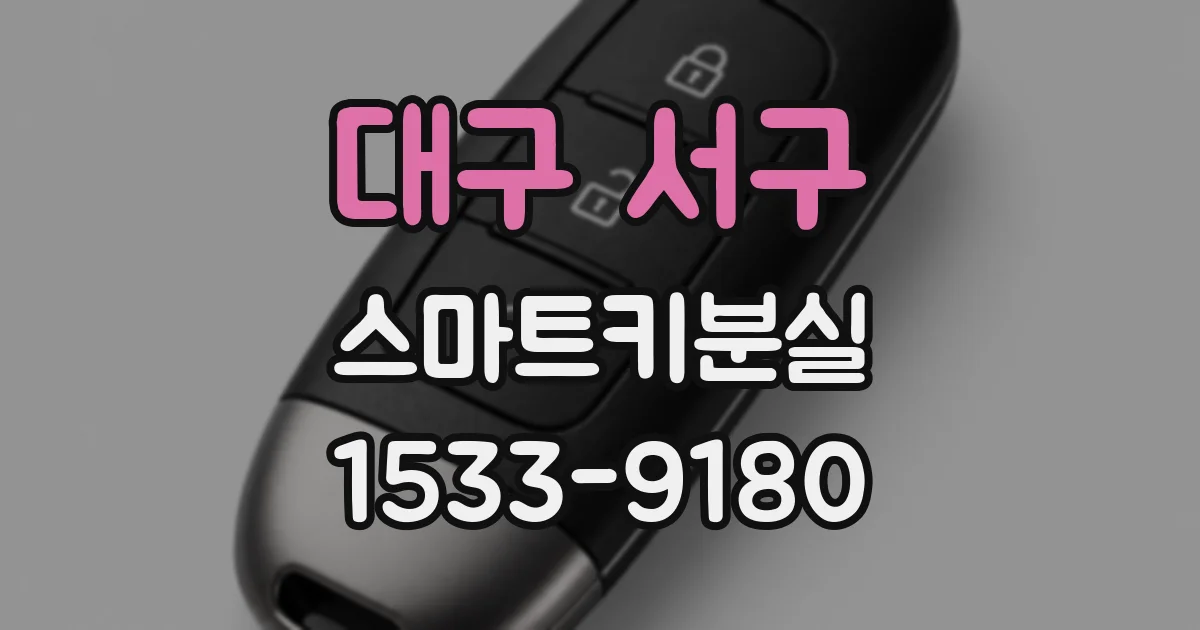 대구 서구 스마트키분실