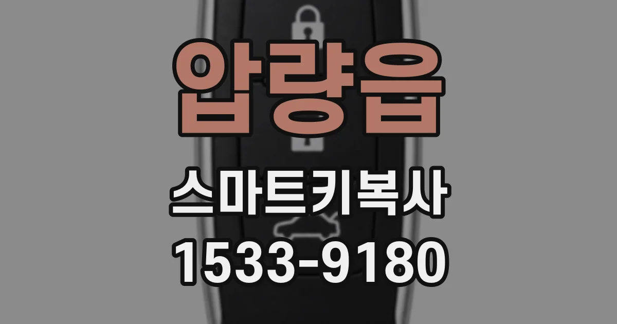압량읍 스마트키복사