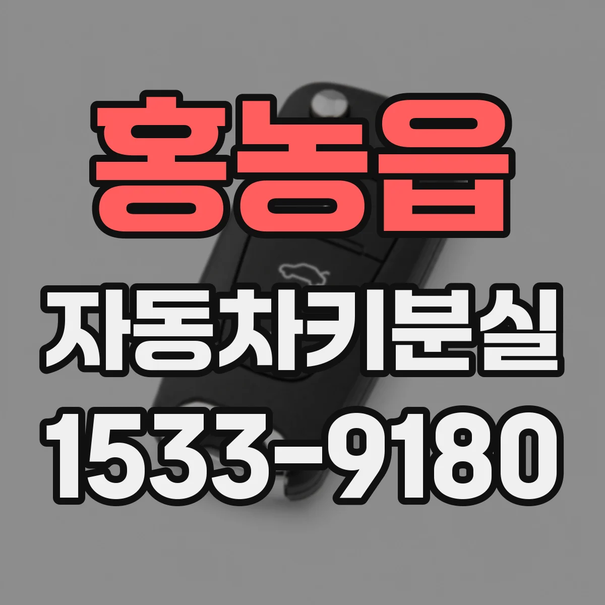 홍농읍 자동차키분실