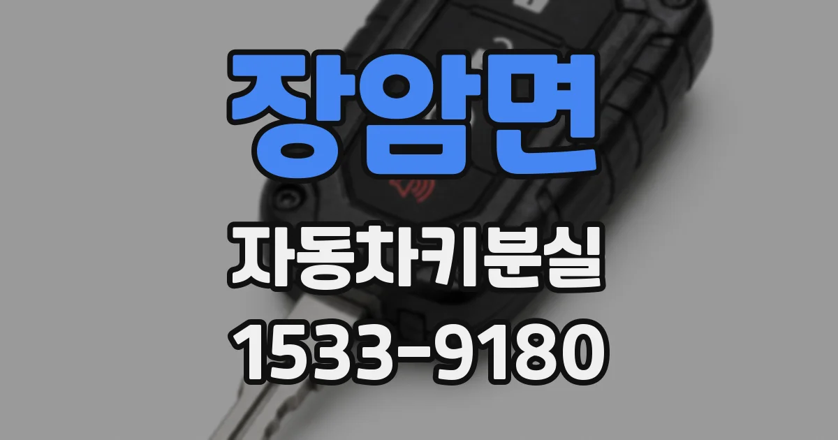 장암면 자동차키분실