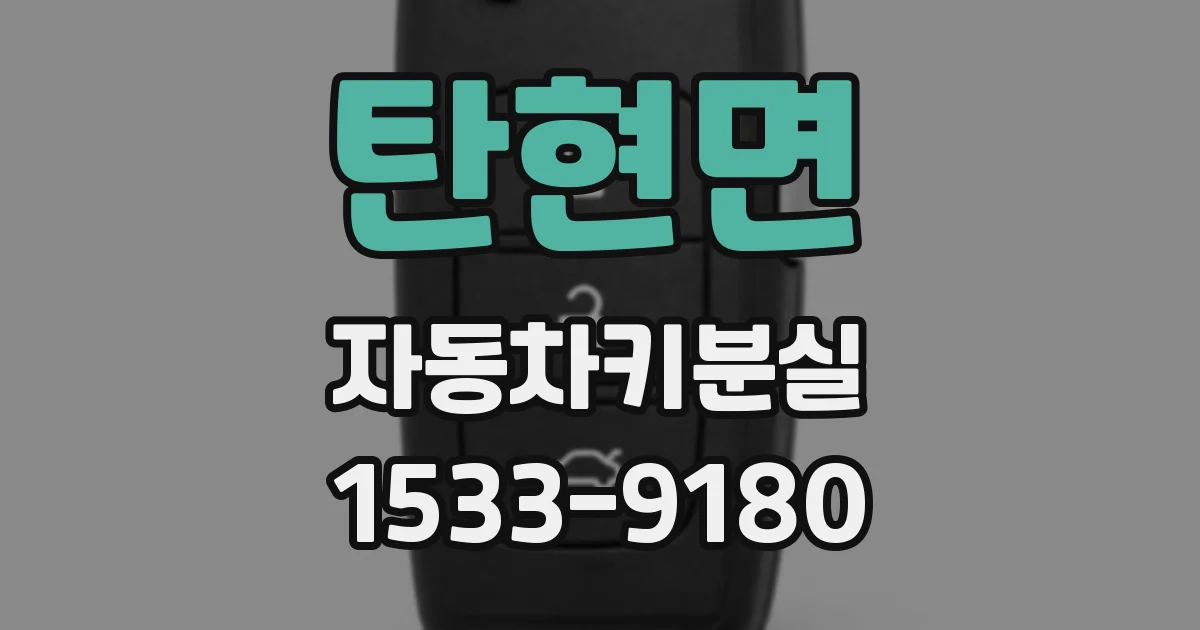 탄현면 자동차키분실