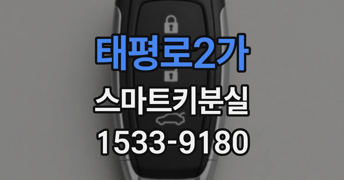 태평로2가 스마트키분실