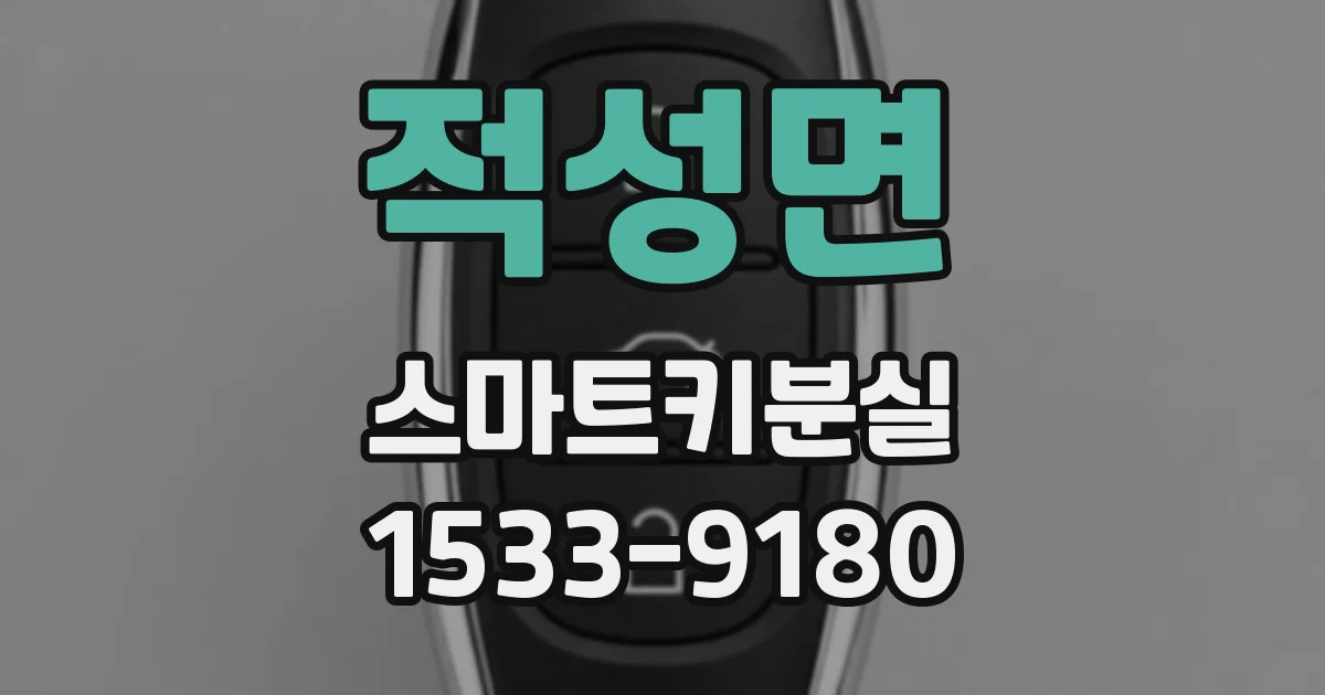 적성면 스마트키분실