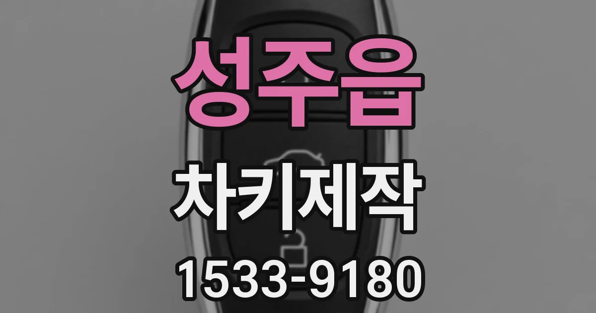 성주읍 차키제작
