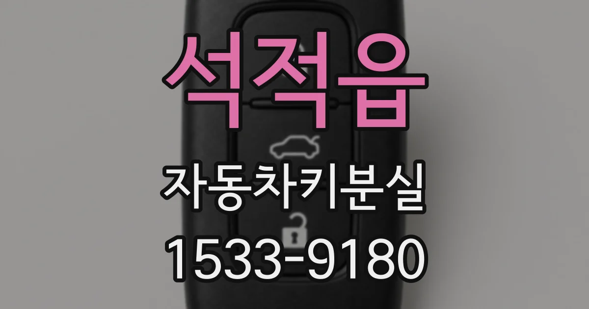 석적읍 자동차키분실