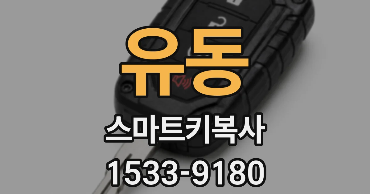 유동 스마트키복사