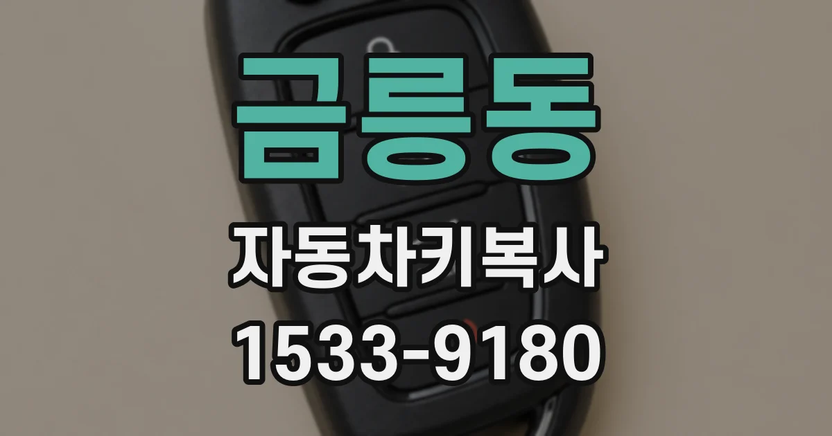 금릉동 자동차키복사