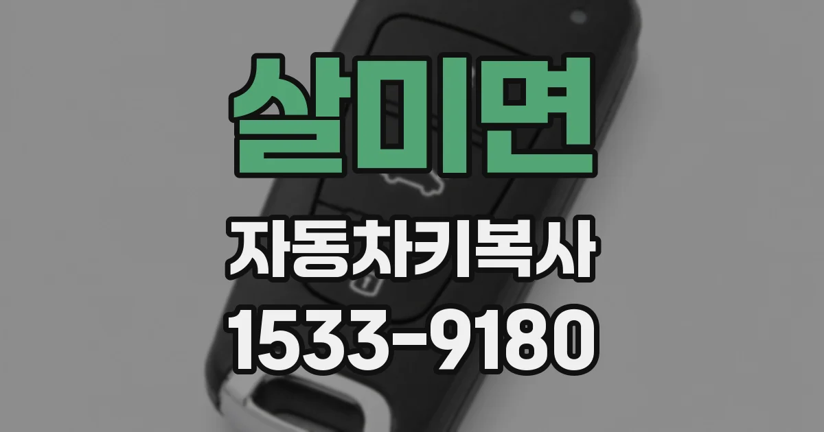 살미면 자동차키복사