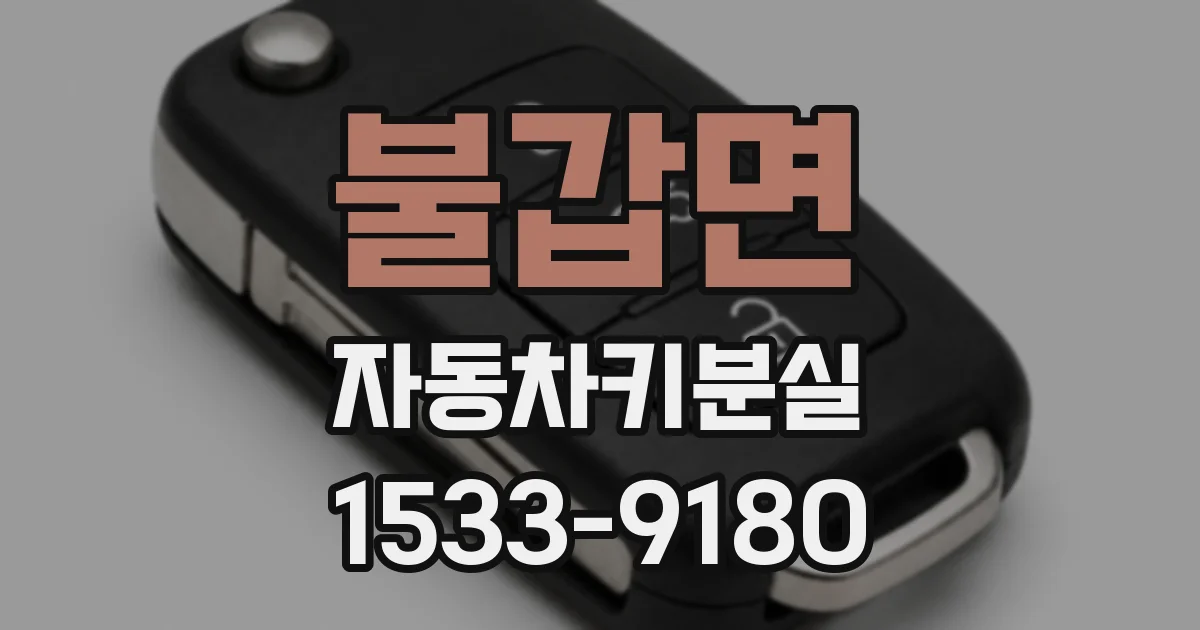 불갑면 자동차키분실