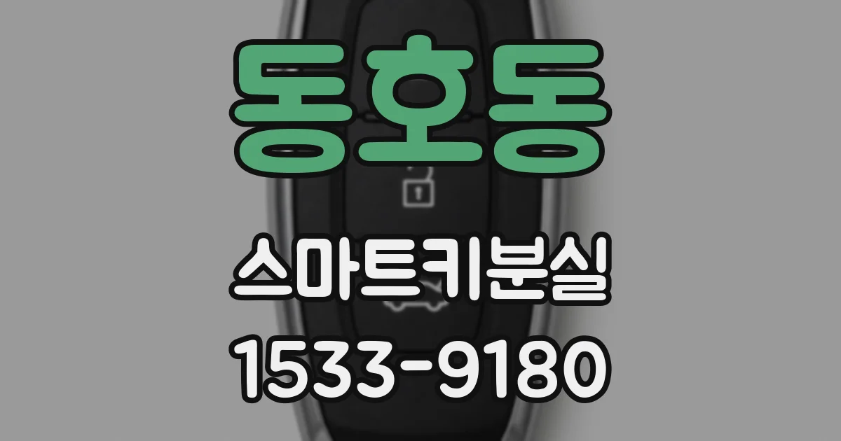 동호동 스마트키분실