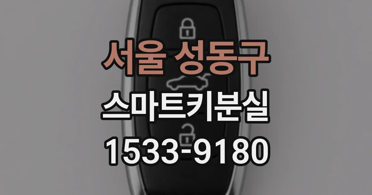 서울 성동구 스마트키분실