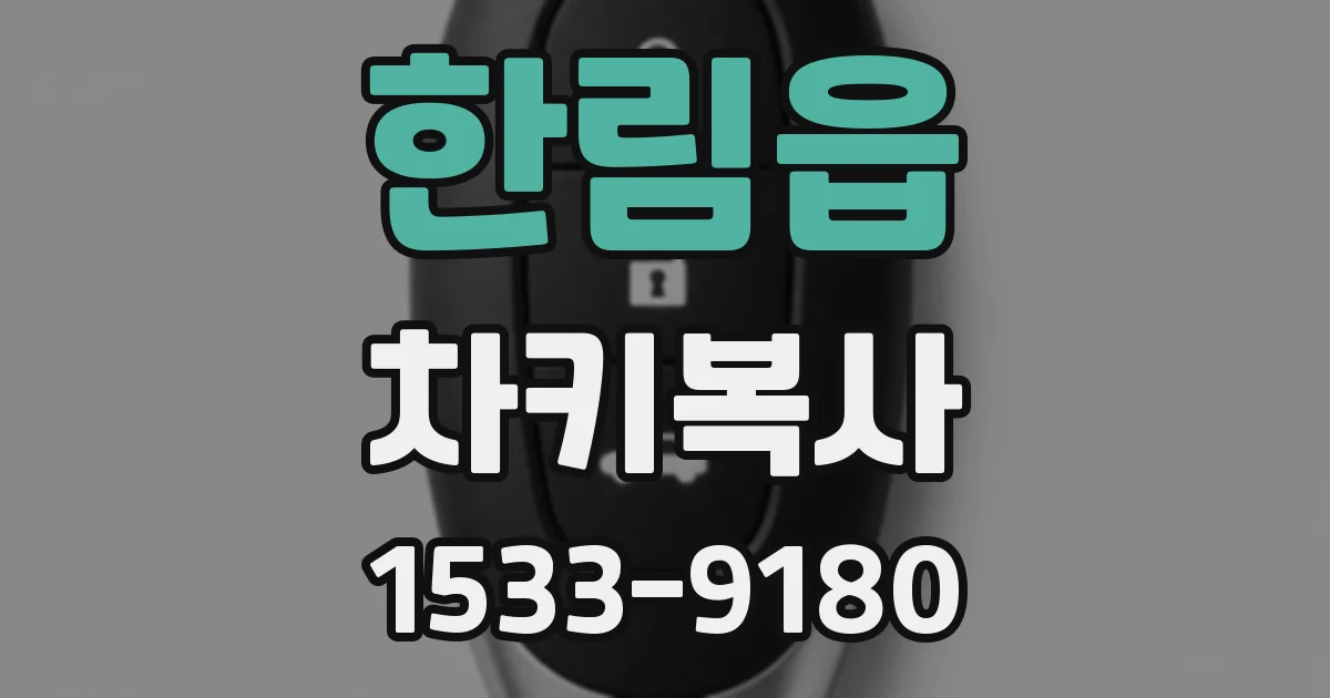 한림읍 차키복사