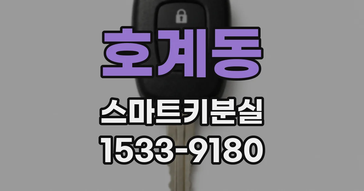 호계동 스마트키분실