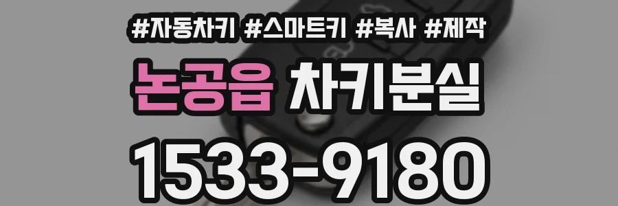 논공읍 차키분실