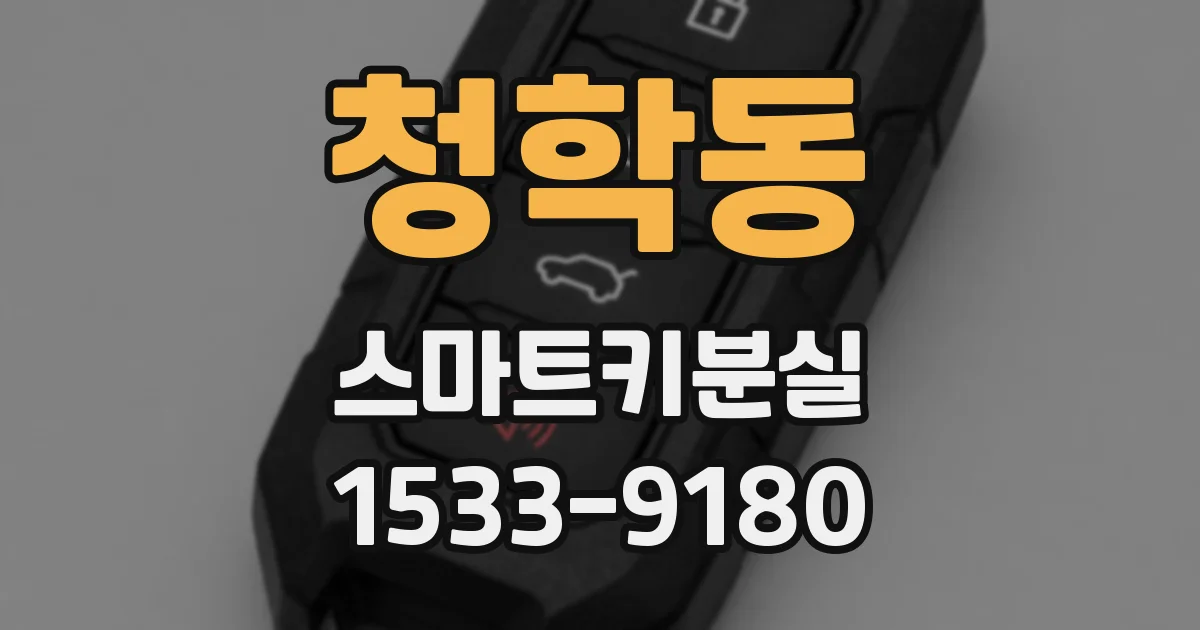 청학동 스마트키분실