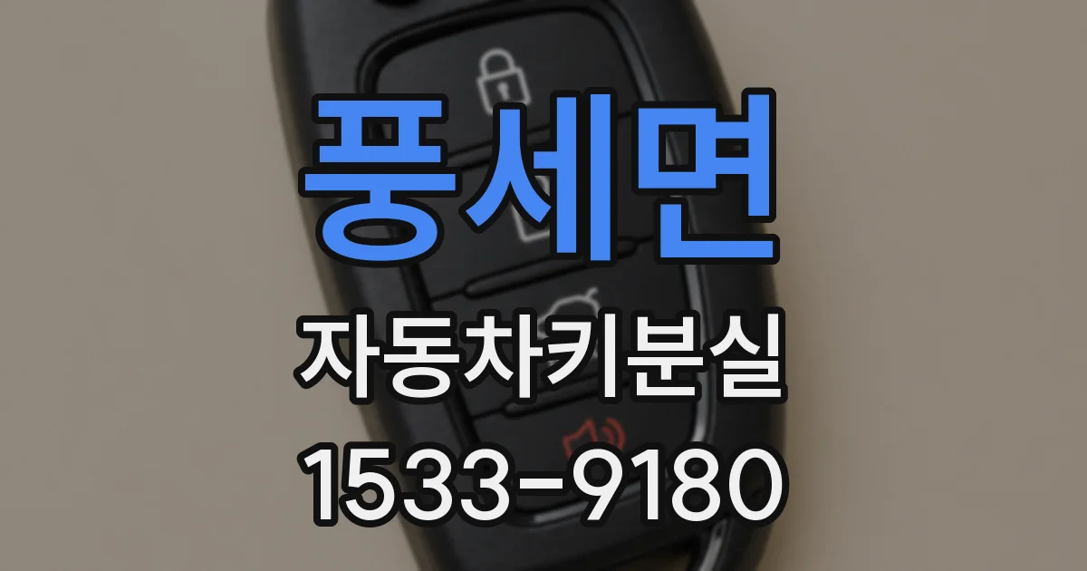 풍세면 자동차키분실