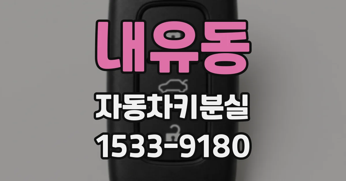 내유동 자동차키분실