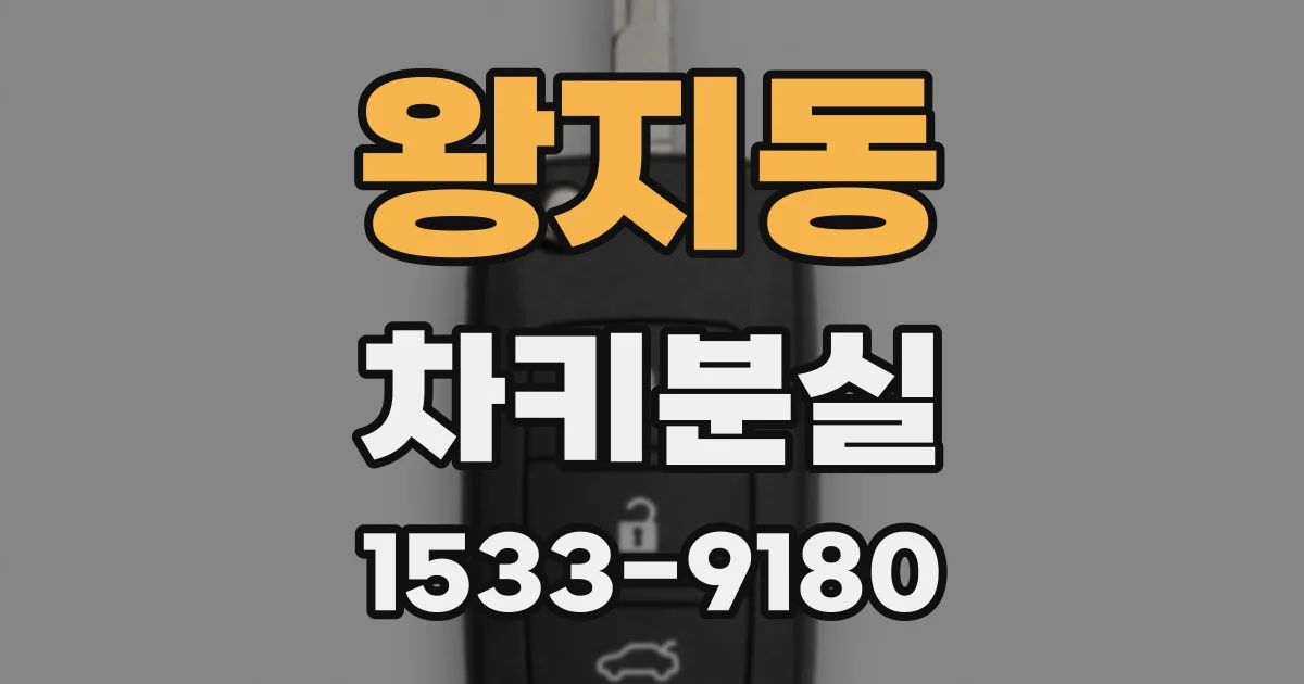 왕지동 차키분실