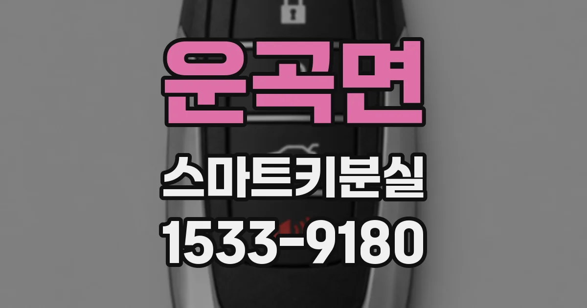 운곡면 스마트키분실