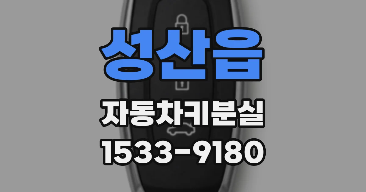 성산읍 자동차키분실