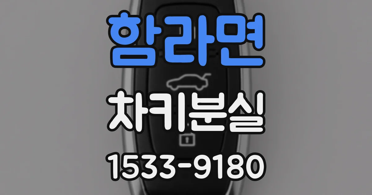 함라면 차키분실